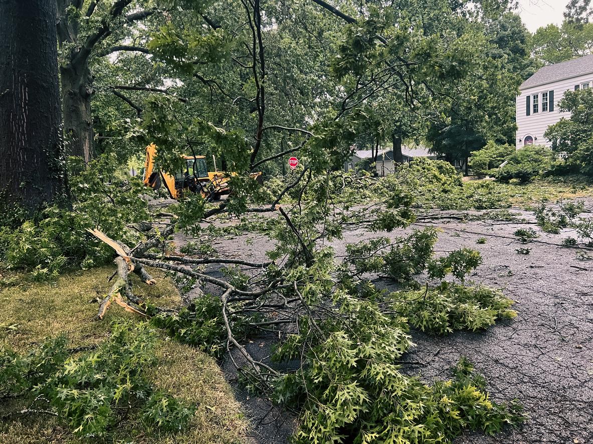 Storm Cleanup