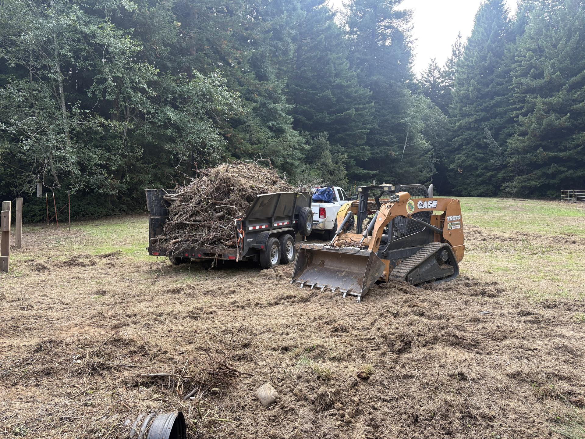 Crew planning excavation and tree removal in Humboldt County